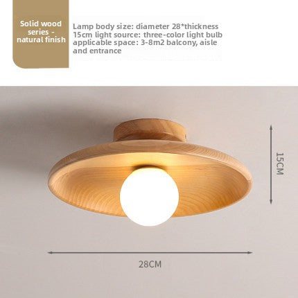 Concave dish Ceiling Lamp
