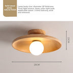 Concave dish Ceiling Lamp
