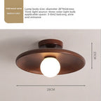 Concave dish Ceiling Lamp