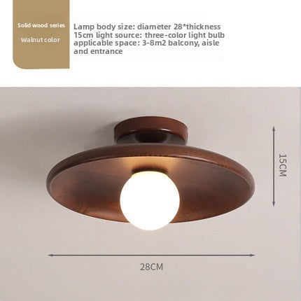 Concave dish Ceiling Lamp