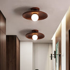 Concave dish Ceiling Lamp