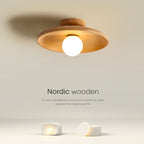 Concave dish Ceiling Lamp