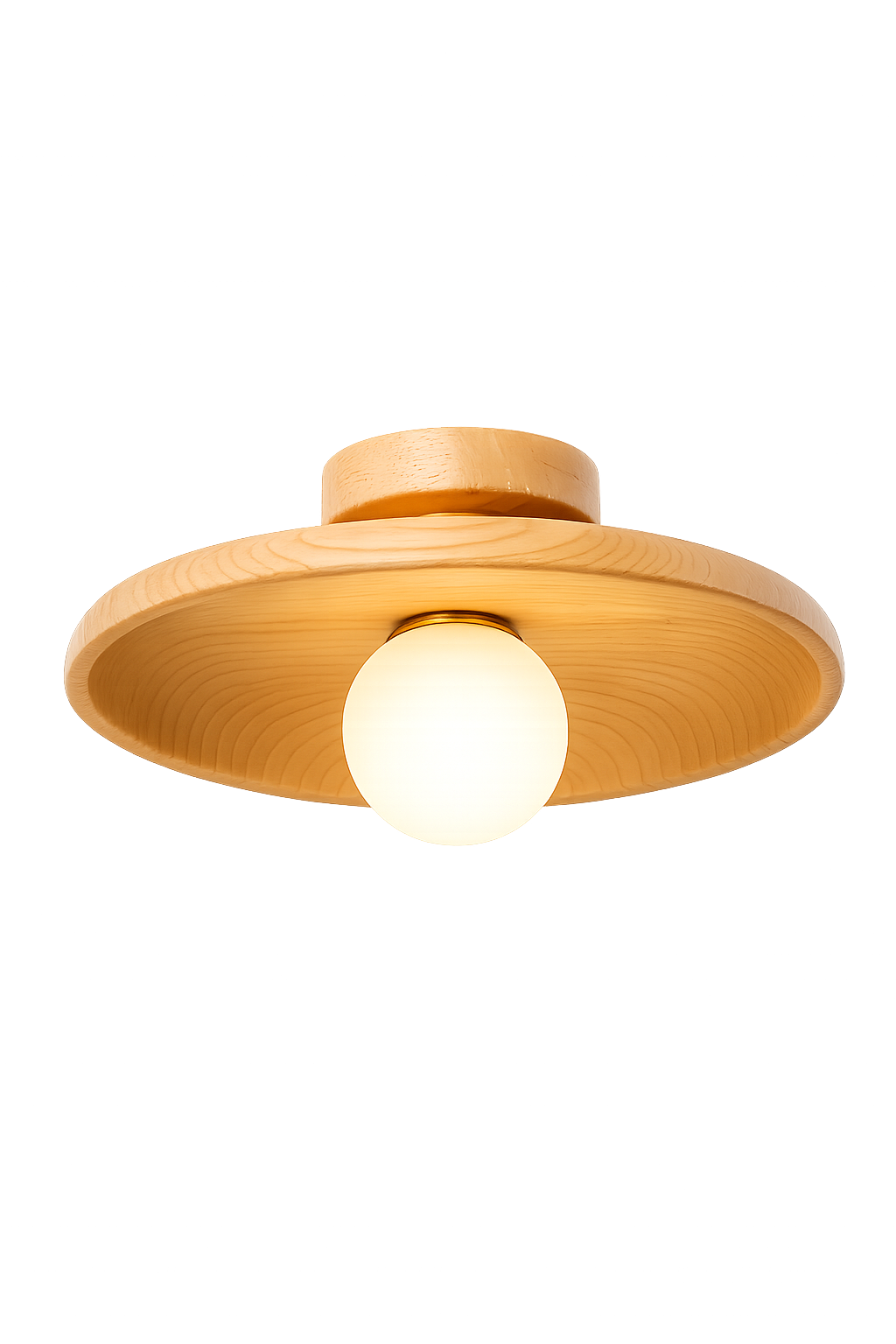 Concave dish Ceiling Lamp