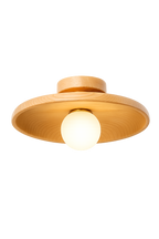 Concave dish Ceiling Lamp