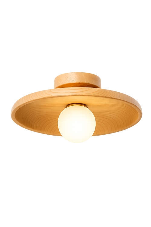 Concave dish Ceiling Lamp