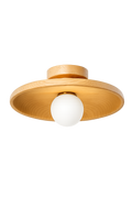 Concave dish Ceiling Lamp