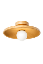 Concave dish Ceiling Lamp