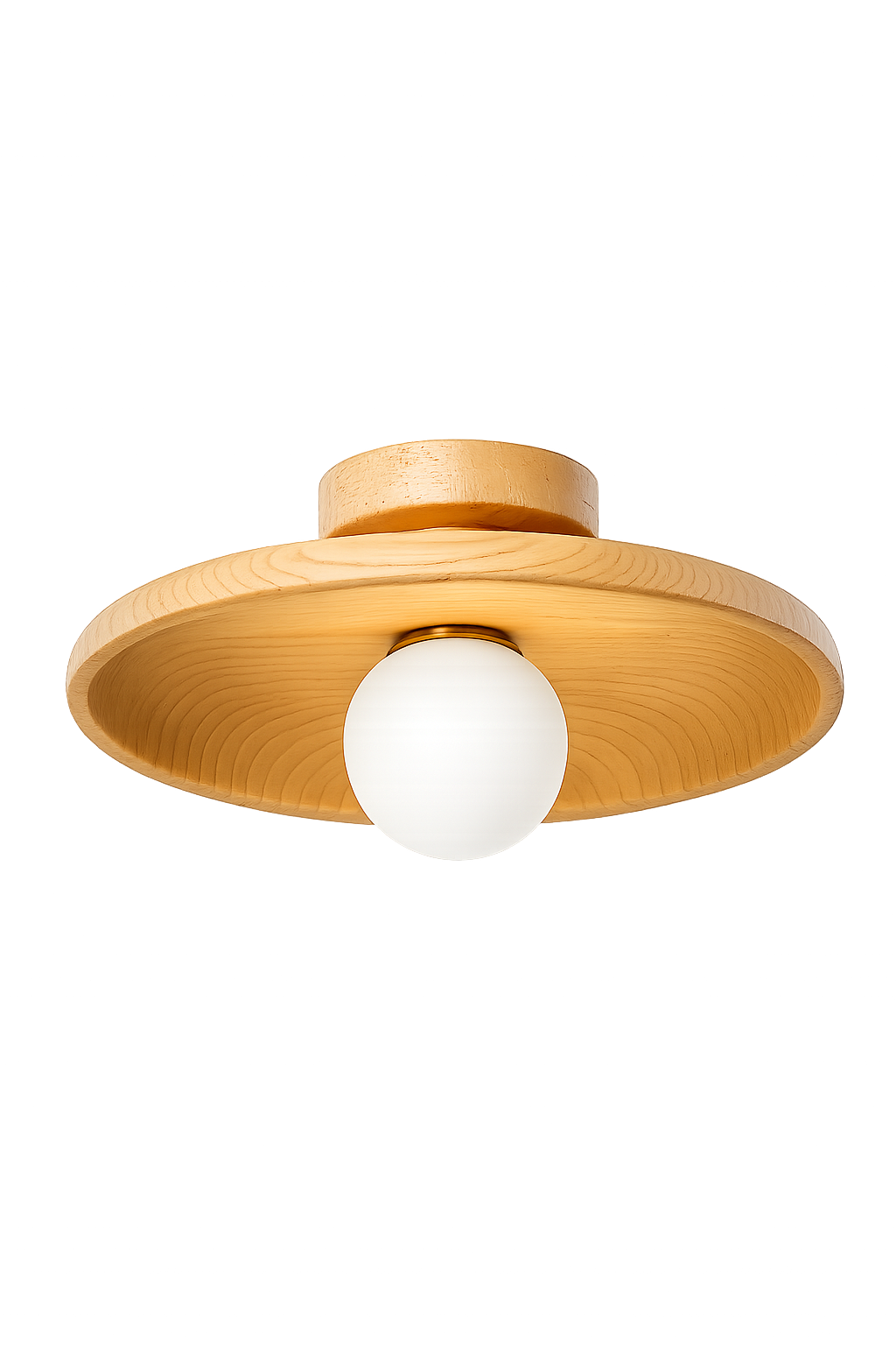Concave dish Ceiling Lamp