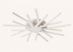 Modern Full Spectrum Ceiling Lamp
