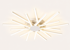Modern Full Spectrum Ceiling Lamp