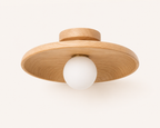 Concave dish Ceiling Lamp