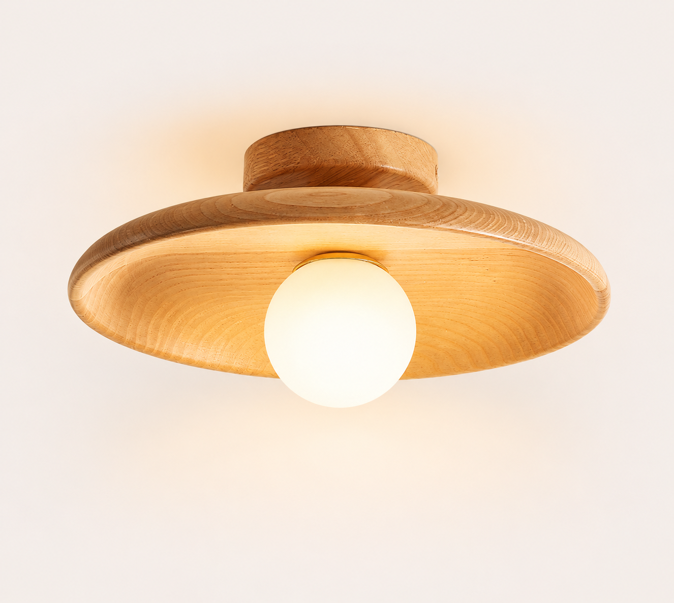 Concave dish Ceiling Lamp